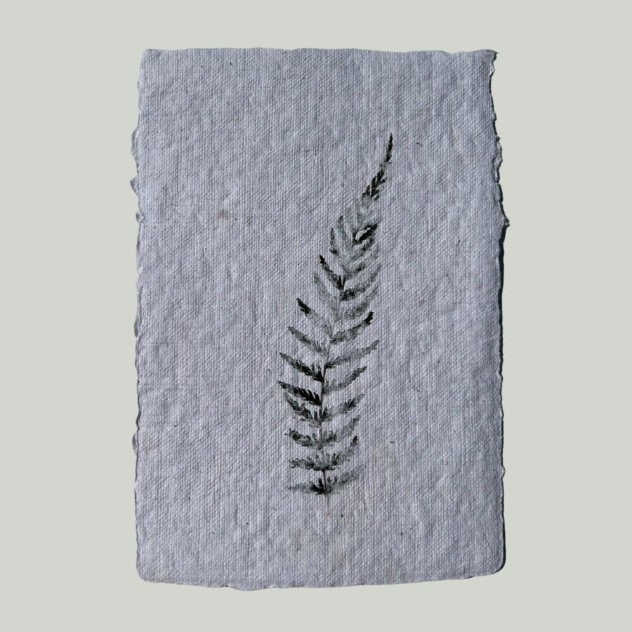 A6 - Varenzacht (Tijdelijk Uitverkocht)